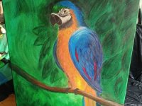 IMG_20250829_173352