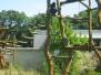 Wycieczka do ZOO